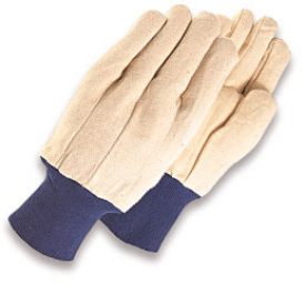 GLOVE - CANVAS