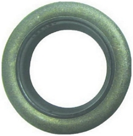 OIL SEALS